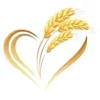 Fairfield Care